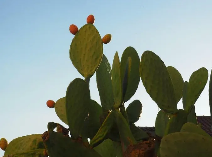 Casa Ulisse 4* Roccella Ionica
