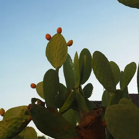 Casa Ulisse 4* Roccella Ionica